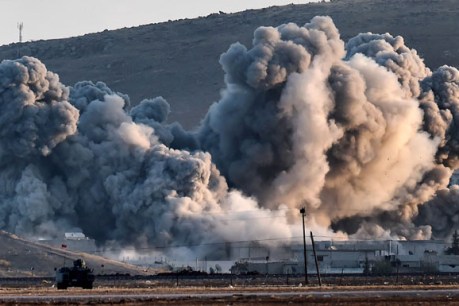 IS gains in Kobane, Turkey rejects action