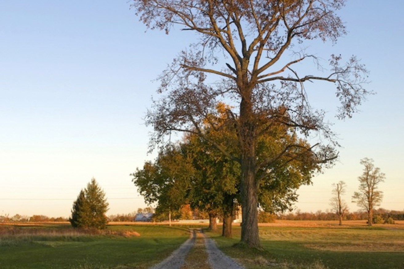 Rural properties promise tranquility and safety for families. Photo: Shutterstock