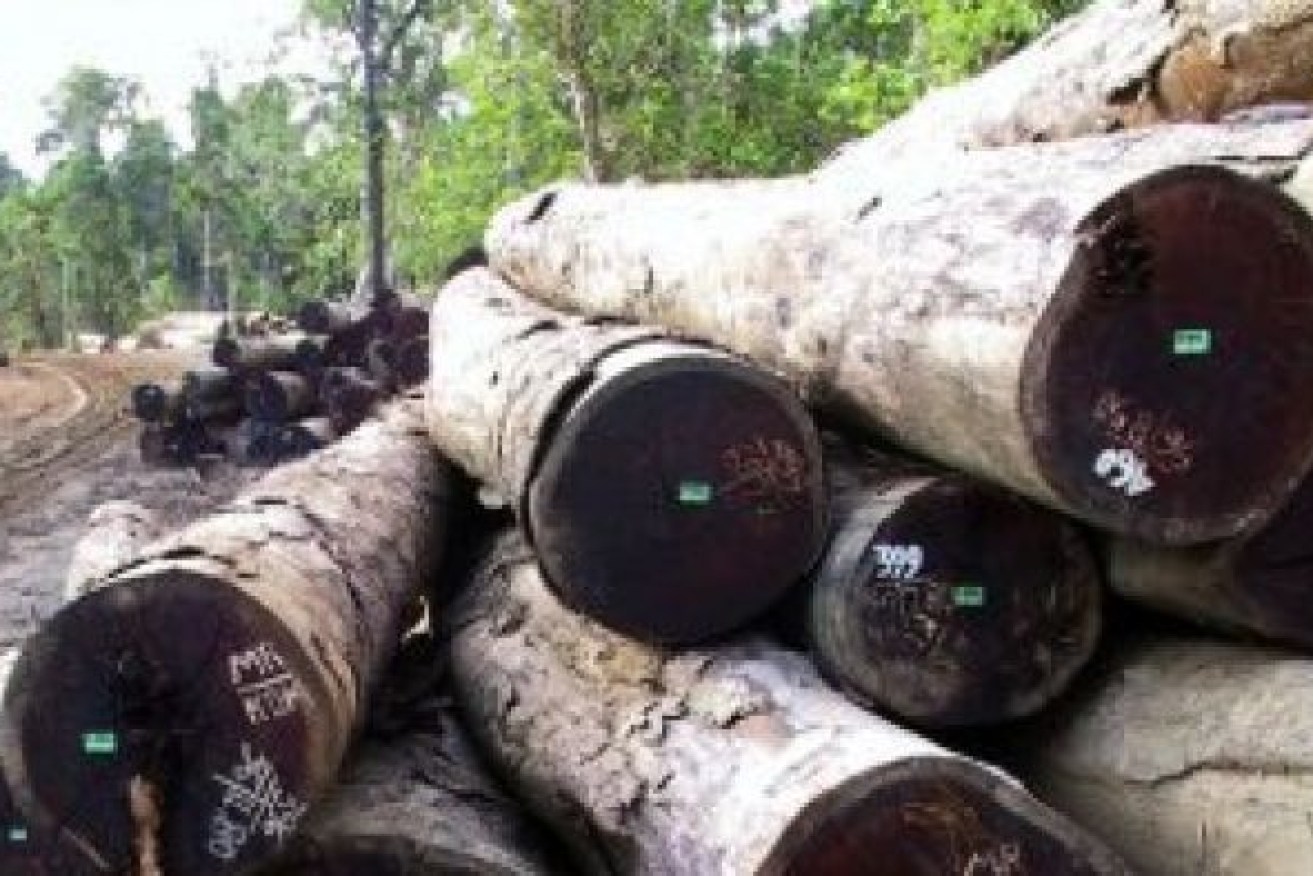 The Information Commissioner says VicForests unlawfully spied on several anti-logging campaigners.