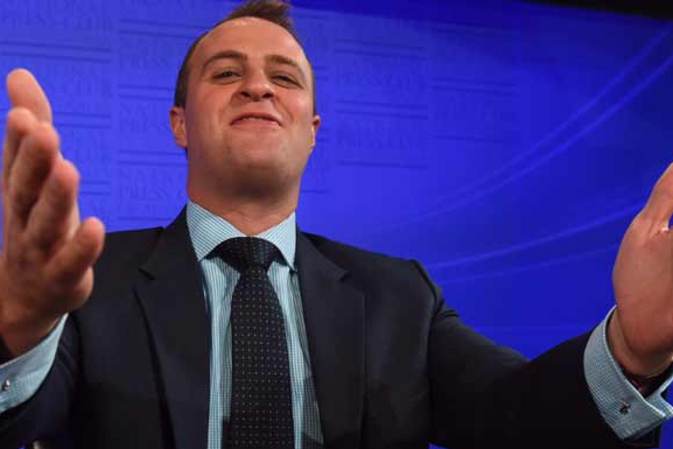 Tim Wilson denies he is under threat in the south-east Melbourne seat of Goldstein.