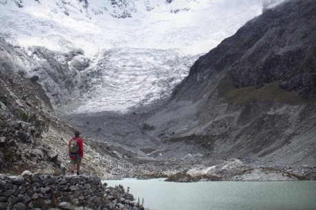 Our highest glaciers may disappear in 40 yrs