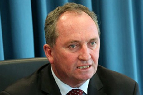 Barnaby Joyce: the rise of the Nationals leader