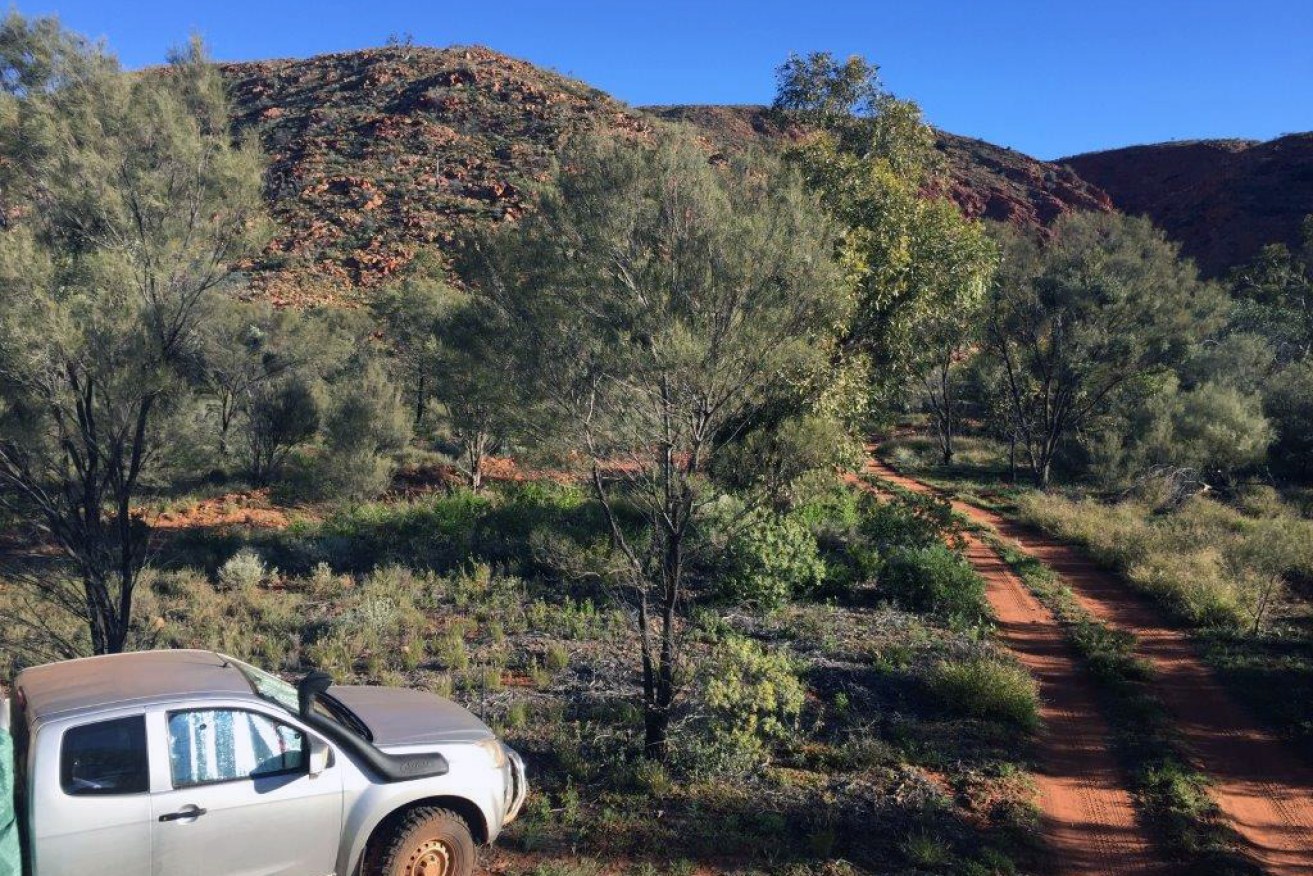 The area near where a 75-year-old Victorian woman died in a remote region of WA.