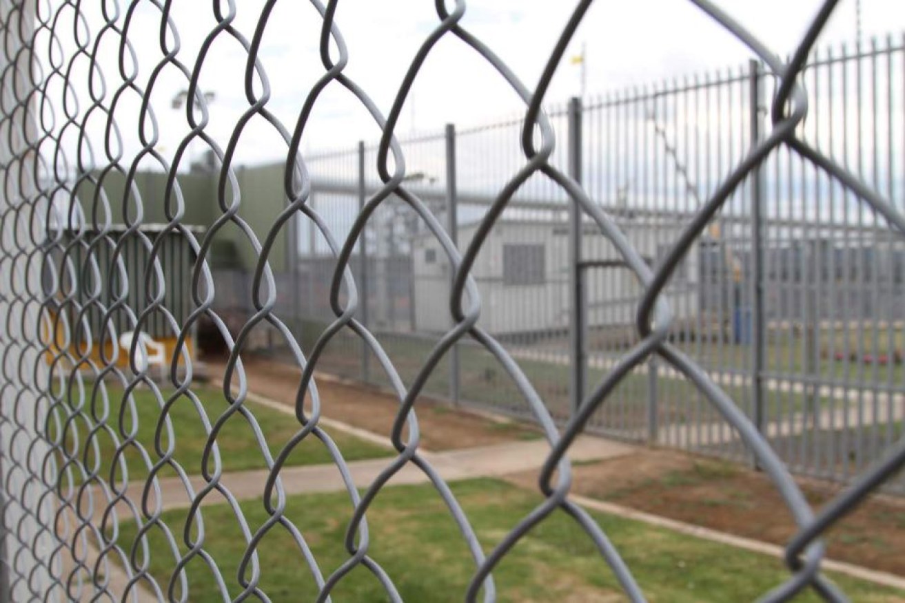 The audit examined health care services in immigration detention.