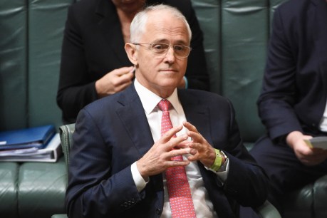 Malcolm Turnbull holds firm on same-sex plebiscite bid