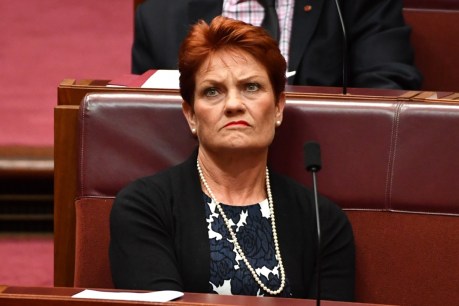 One Nation insiders reveal Pauline Hanson&#8217;s &#8216;brutal dictatorship&#8217;