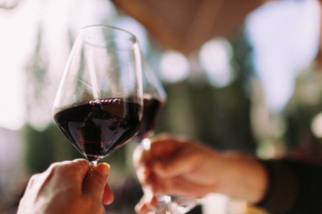 Red wine link to low blood pressure: Study