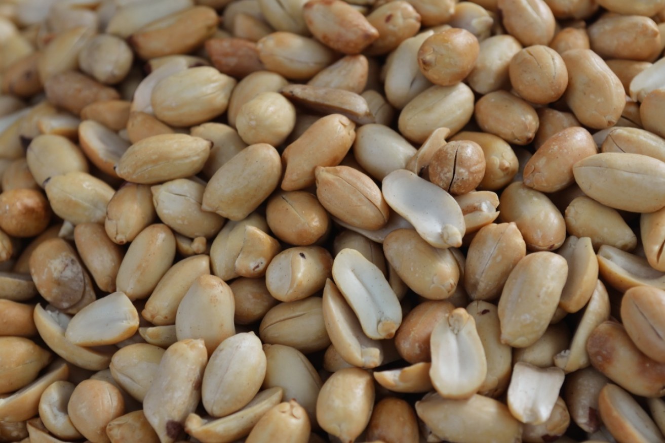 This new treatment could protect people from allergic reactions to peanuts.