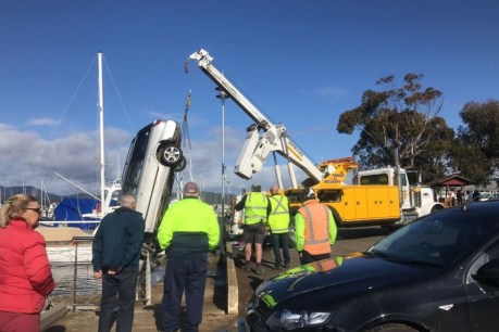 &#8216;I&#8217;m like a cat with nine lives&#8217;: 85yo rescued after driving off wharf