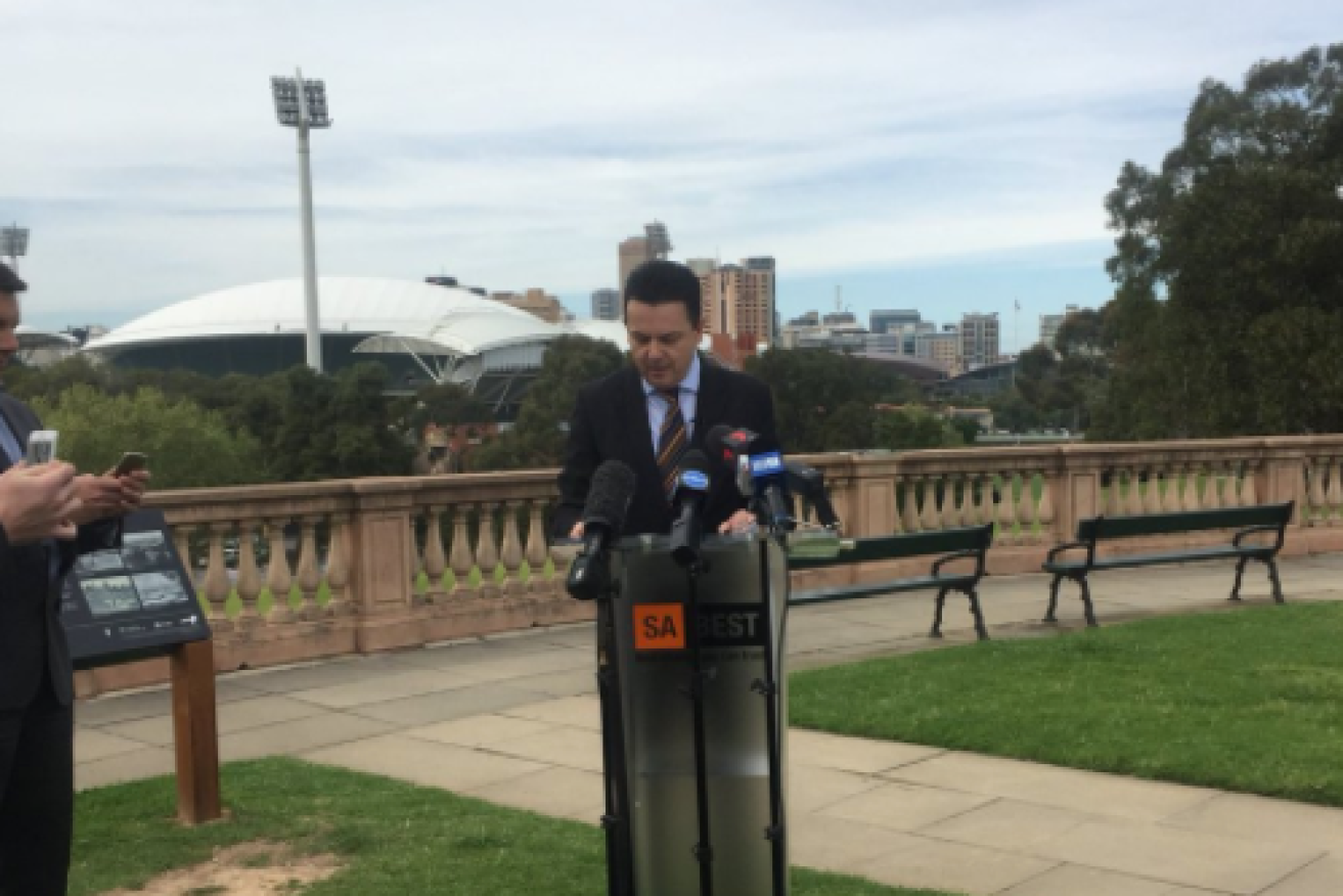 Senator Xenophon told reporters 'you can't fix South Australia's problems in Canberra'. 