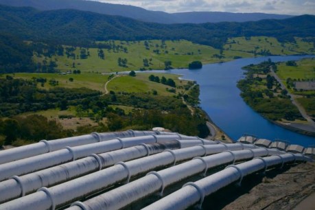 Snowy Hydro 2.0 plans raise environmental concerns for scientists
