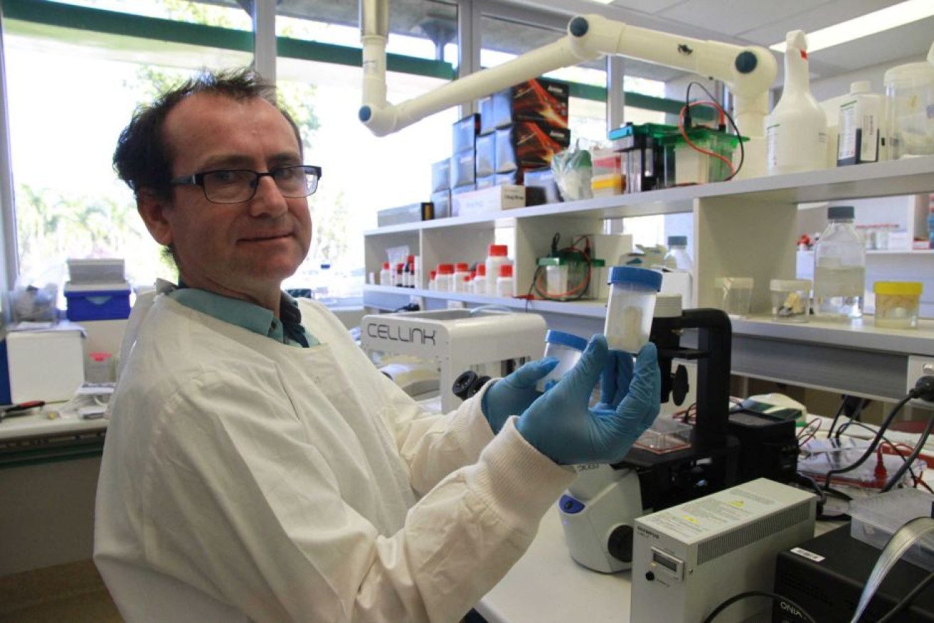 Dr Padraig Strappe holds crocodile cartilage that may be used to treat joint damage in humans.