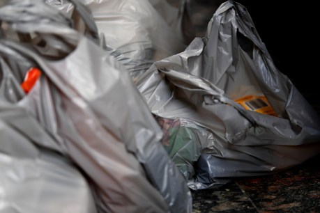 Plastic bag recycling program collapses