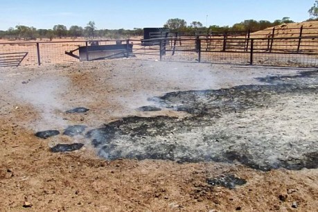 The mystery of the NT cattle station where the ground is on fire