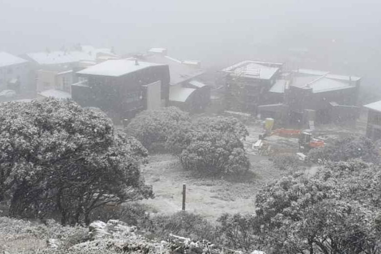 Mount Hotham shared this photo on its Facebook page of snowfall on Saturday.