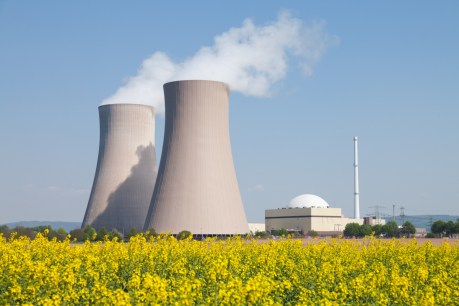 Coalition goes nuclear with its climate change response
