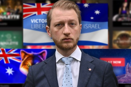 James Paterson’s cyber hard line undermined as website is overrun by bots