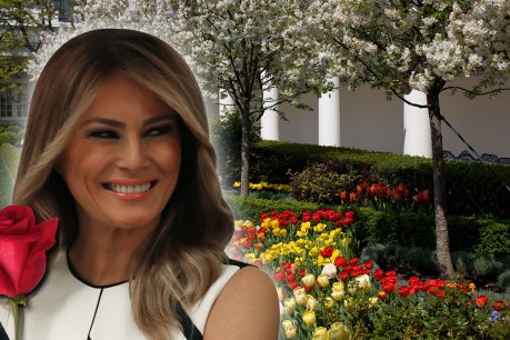 Who&#8217;ll make a better first lady? The other question US voters will consider
