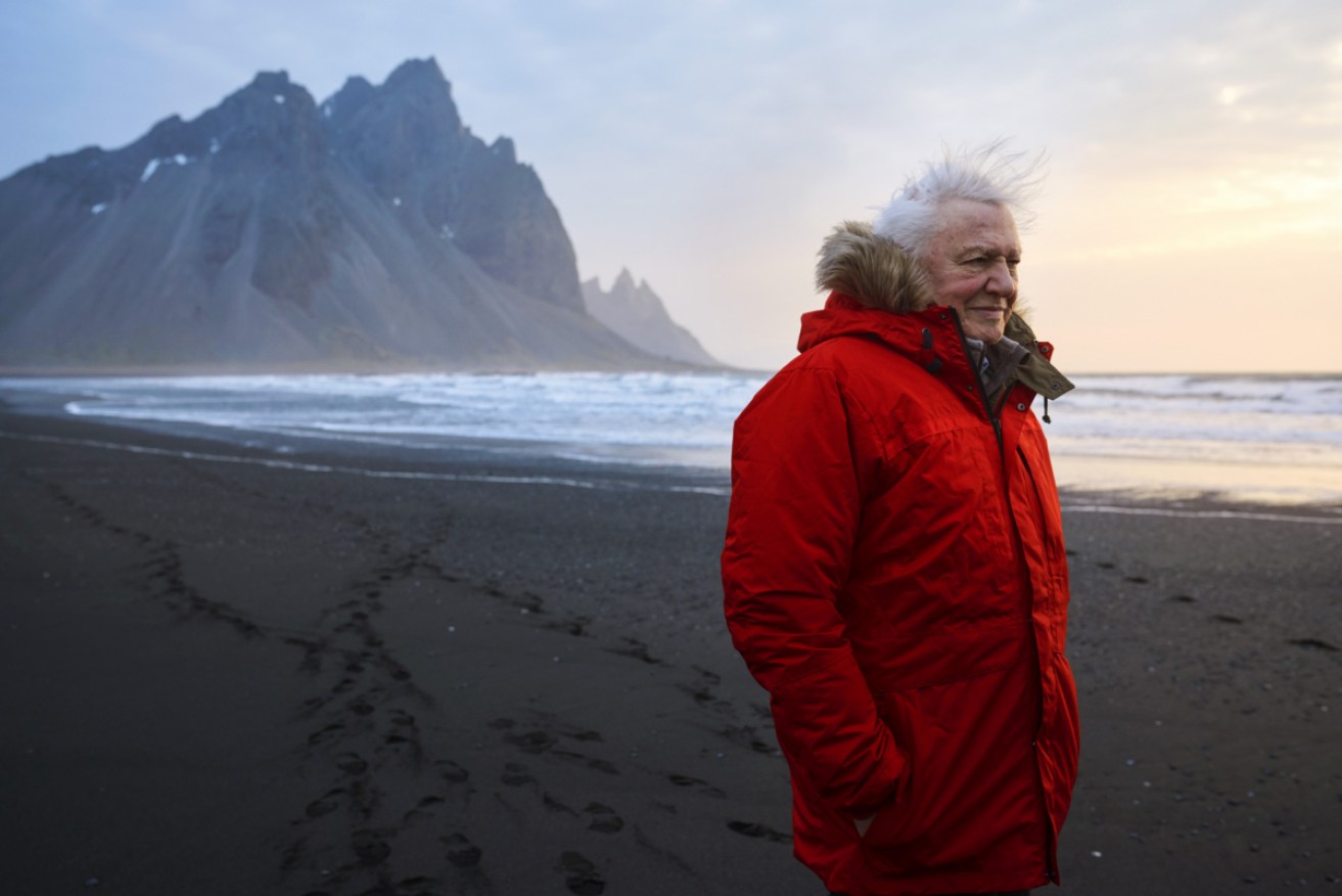 International environment ambassador Sir David Attenborough laments human impact on Earth.