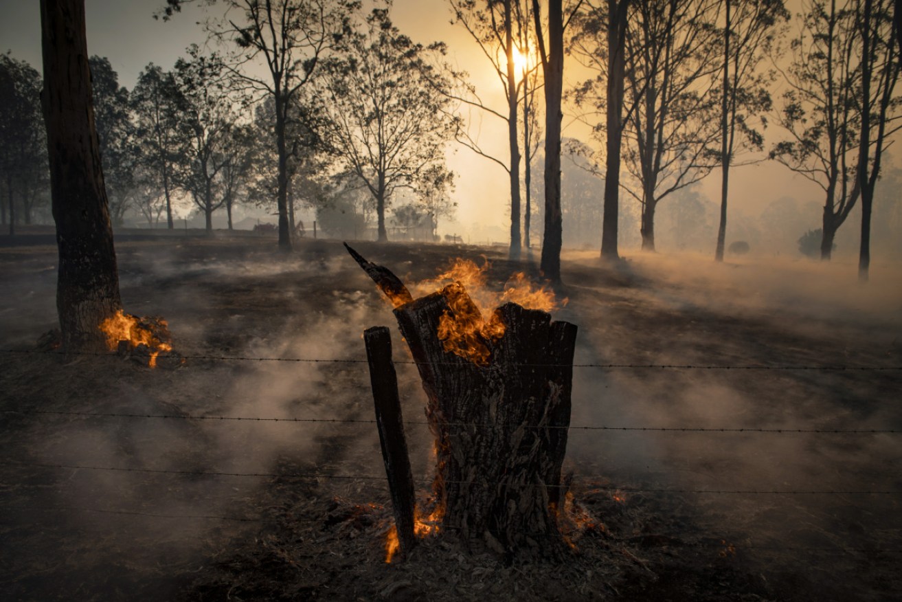 The world is watching as Australia burns and politicians squabble. 