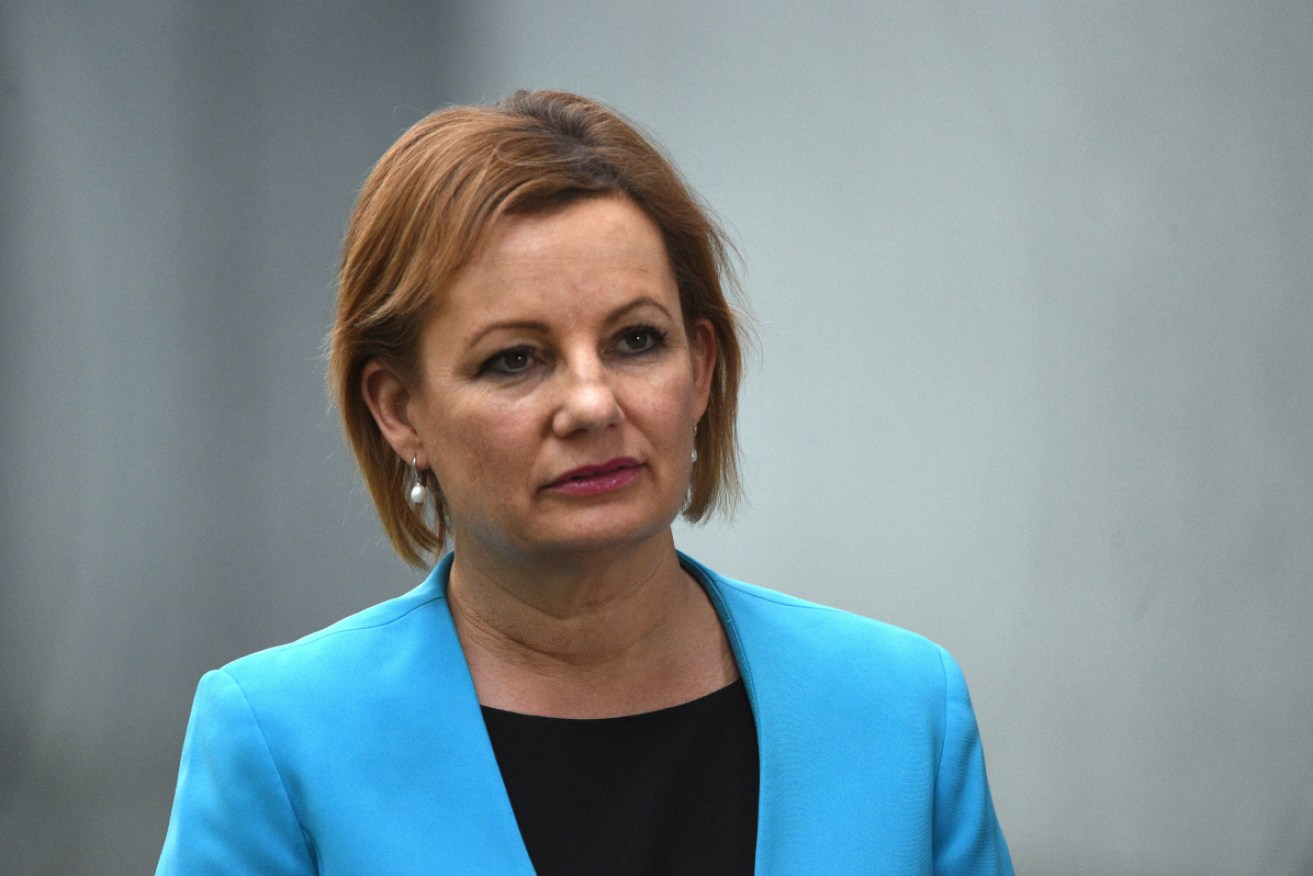 Sussan Ley said the Australian argument was persuasive by "strong consensus".