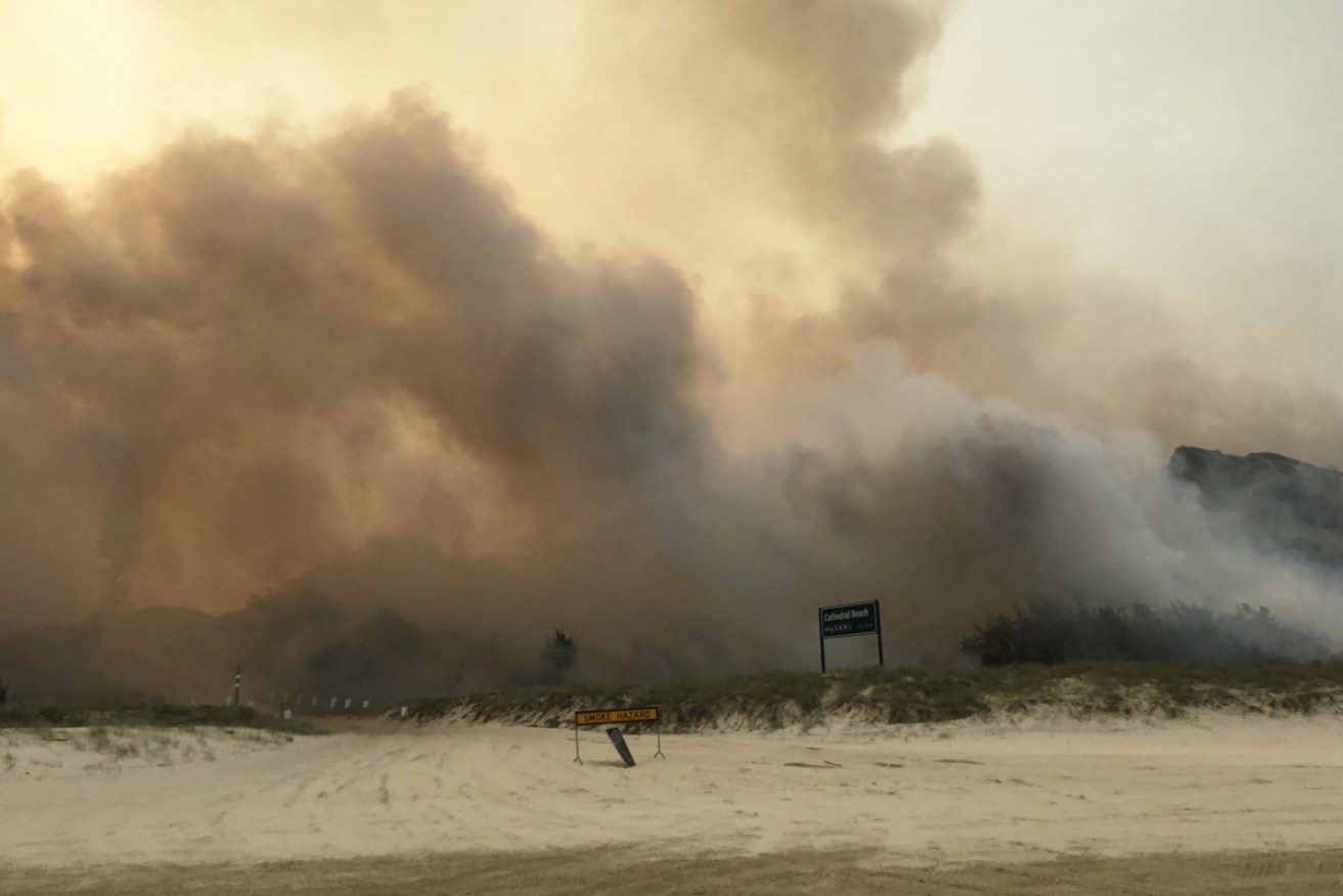 The Fraser Island fire burned for nearly nine weeks and destroyed nearly half of the island.