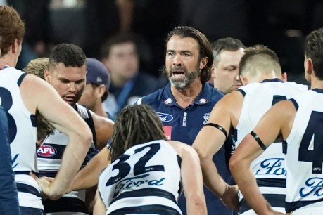 Cats coach fined $10,000 over Lions confrontation