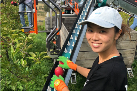 Machines a &#8216;game-changer&#8217; for Tasmanian orchards needing fruit pickers