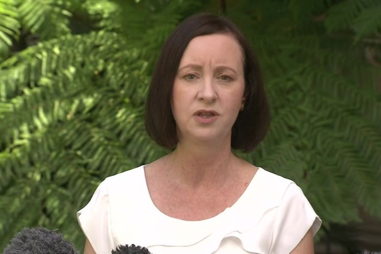 Queensland's health minister says residents stranded interstate must wait their turn to come home, and many knew the risks before they decided to travel.