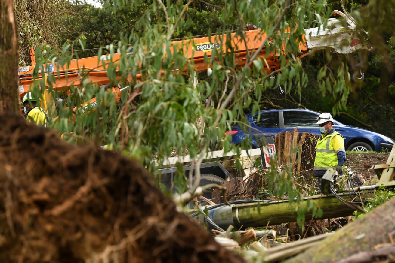 Clean-up crews clear fallen powerlines in Olinda, east of Melbourne. Thousands of Victorian homes are still without power.