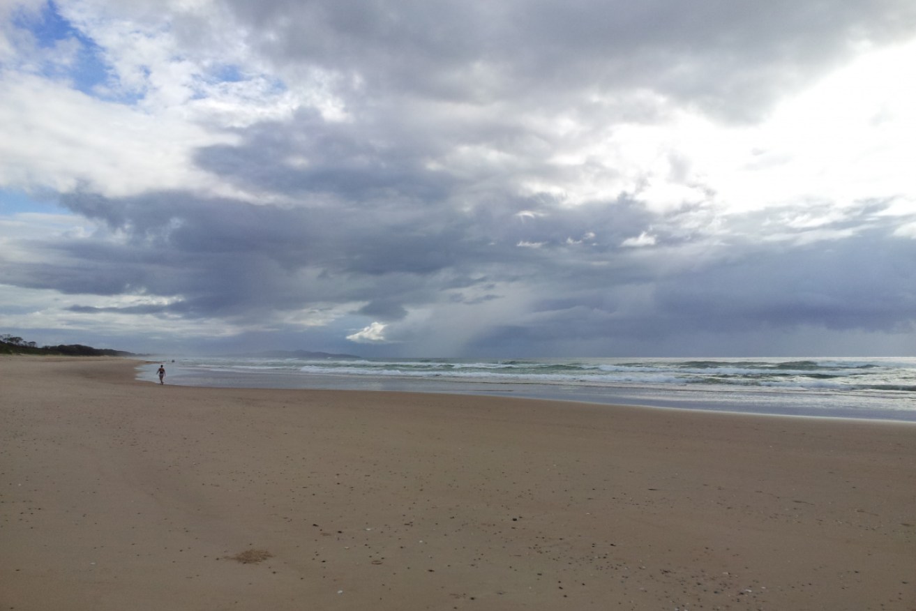 A man has been injured in a suspected shark attack while surfing at Crescent Head in NSW.