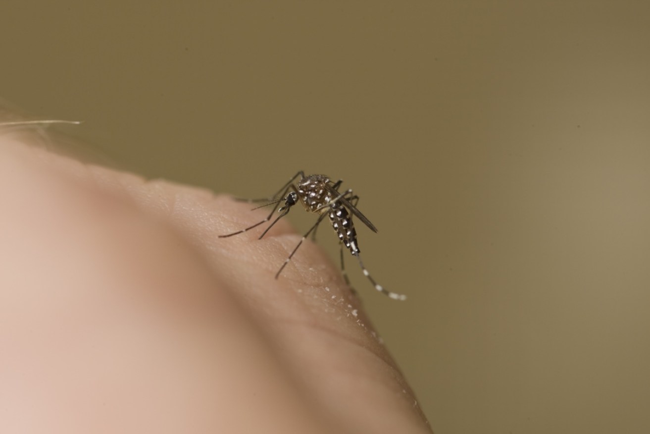 Three Victorians have so far died from the mosquito-borne Murray Valley encephalitis virus.