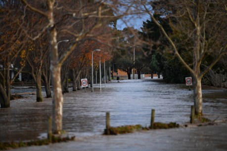 Victorian driver, 66, dies in floodwaters