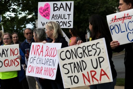 US House passes gun reform bill, law unlikely