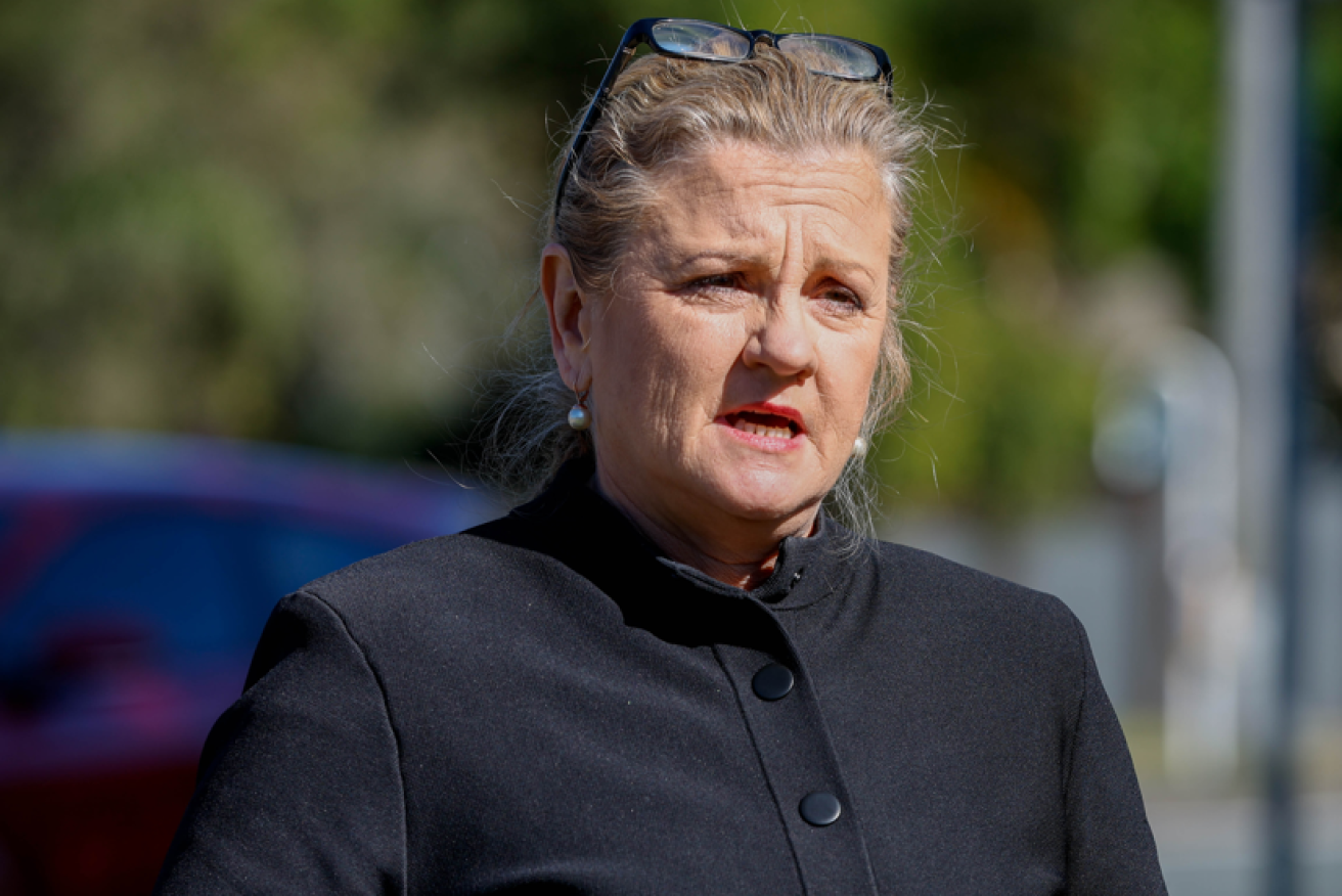 Redlands Mayor Karen Williams is seeking council leave as she prepares for her day in court. <i>Photo: AAP</i>