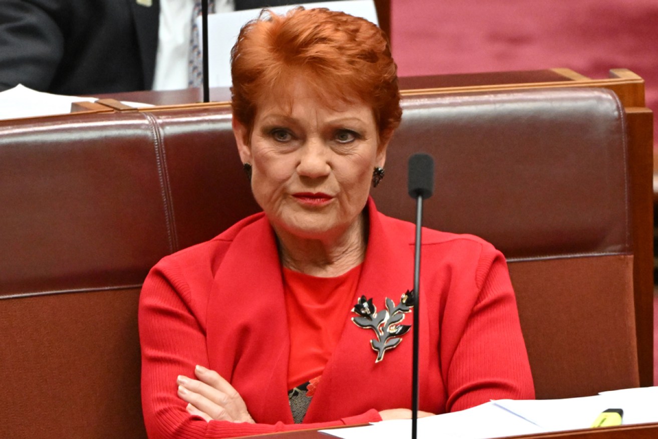 Pauline Hanson's comments were a rhetorical device to criticise a Greens senator, her lawyer said.
