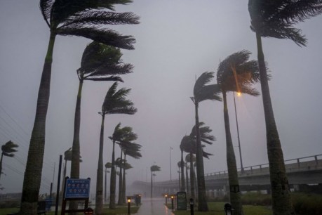 ‘Catastrophic’ Hurricane Ian hits land 