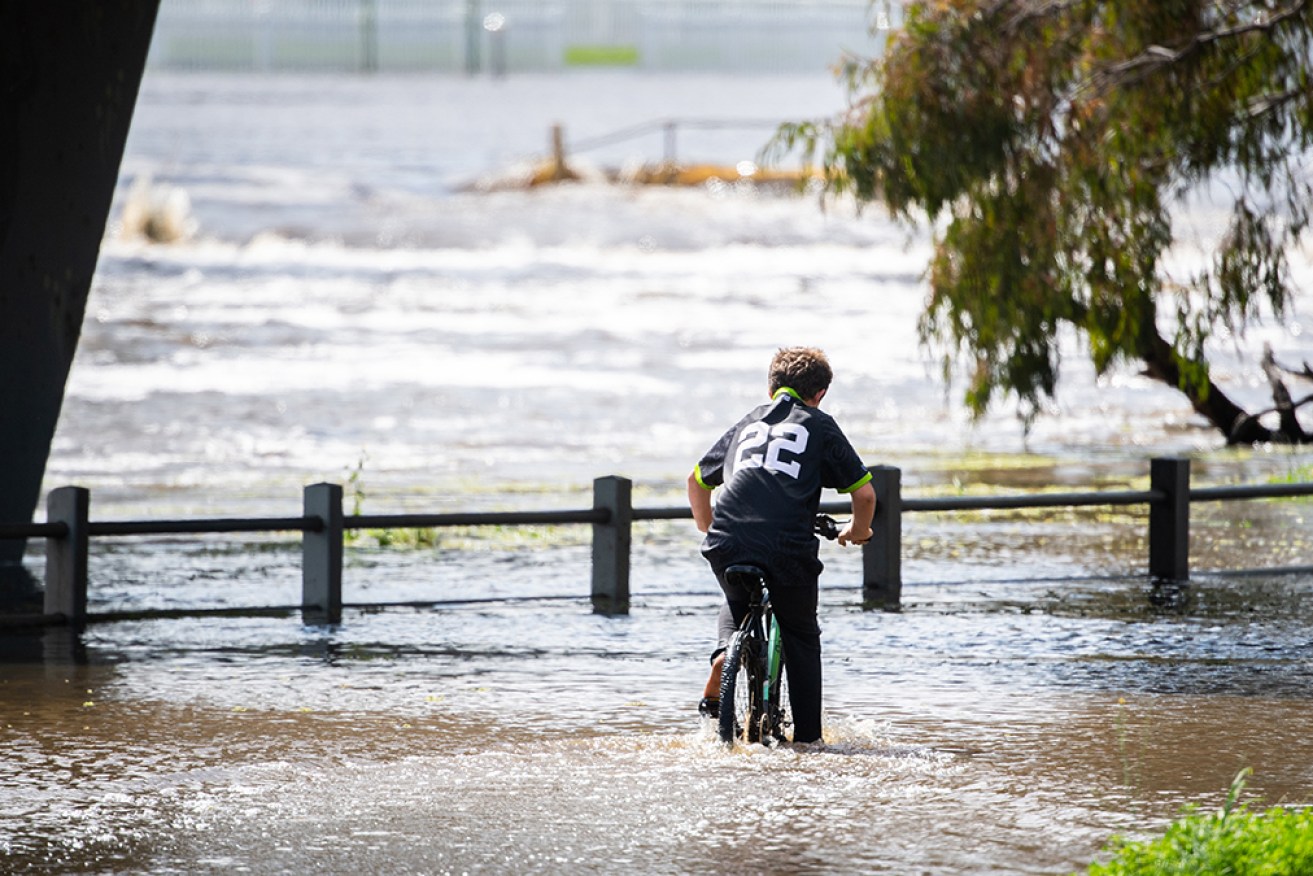 Major flood warnings are in place for 11 rivers in NSW despite a temporary let-up in the rain.