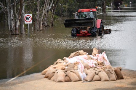 Flood-ravaged Victorian towns look to recovery
