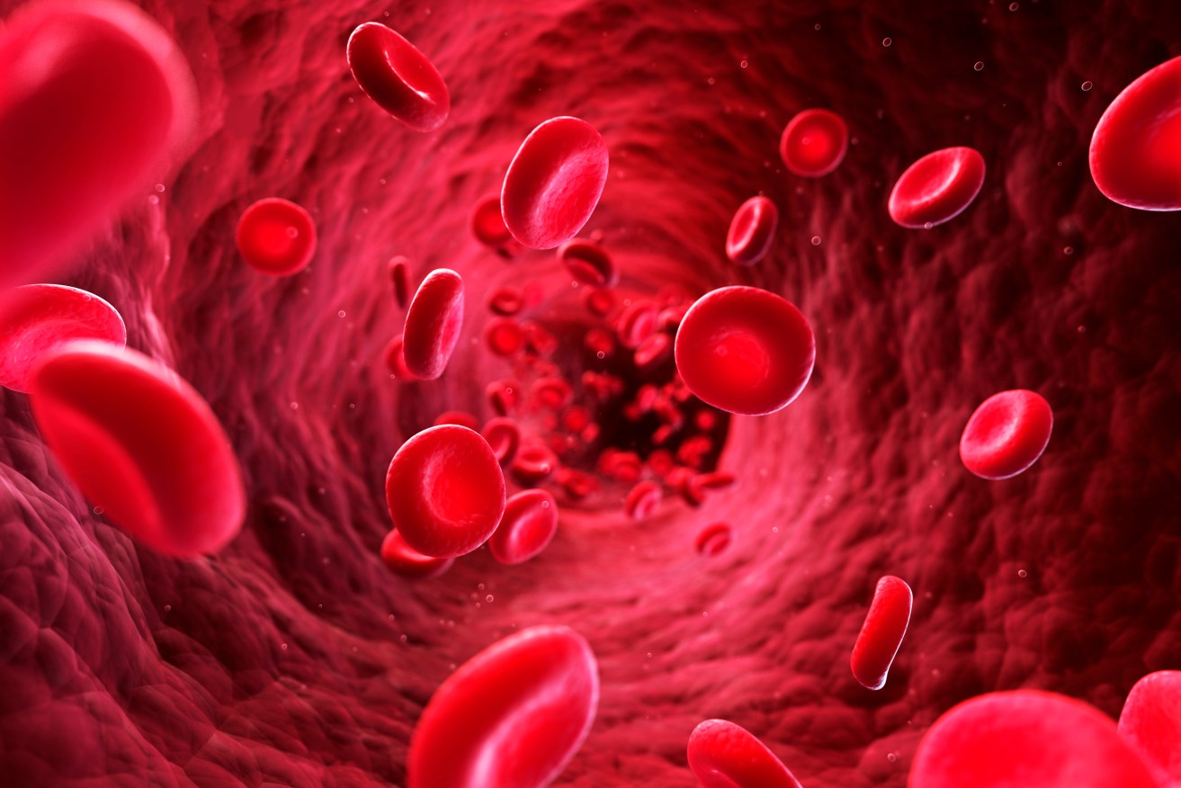 It's hoped that lab-grown red blood cells will last longer than those from donors.