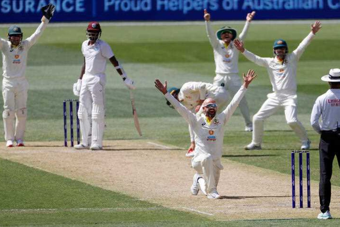 Nathan Lyon successfully appeals for the wicket of the West Indies Alzarri Joseph in the first innings in Adelaide.