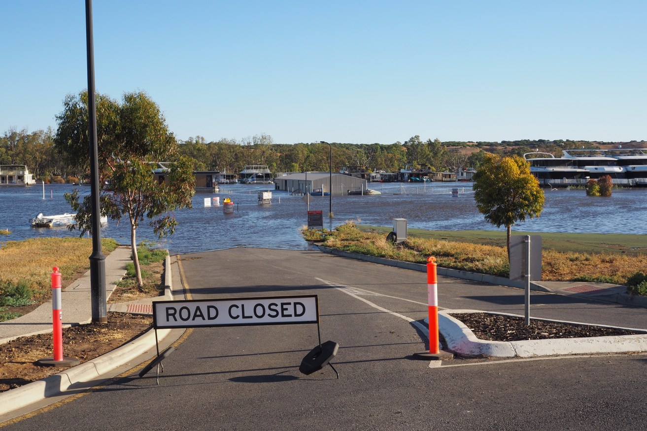 Studies into the Murray flood will aid the management of riverine, floodplain and wetland habitats.