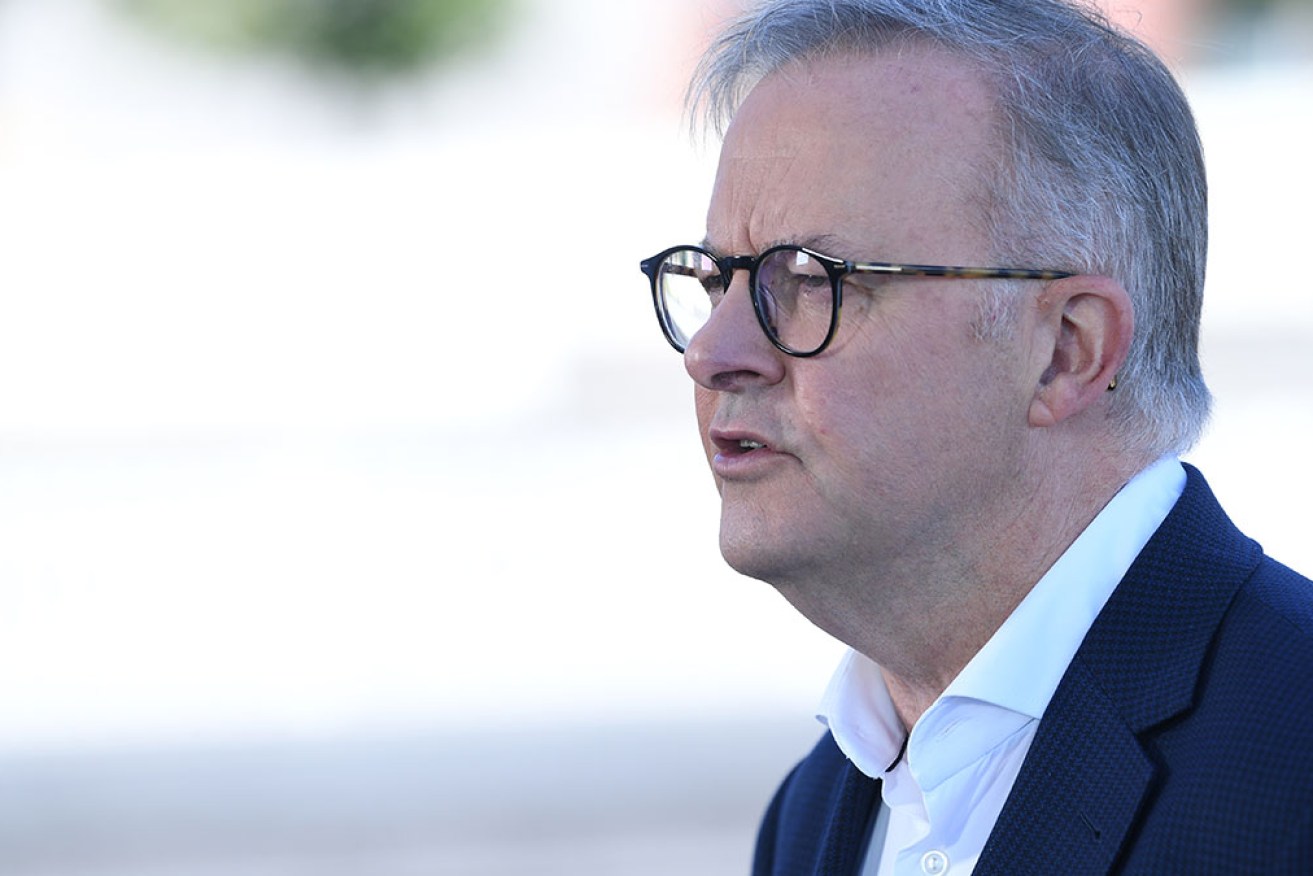 Anthony Albanese has lamented the Coalition's continued calls for more detail on the Voice proposal.