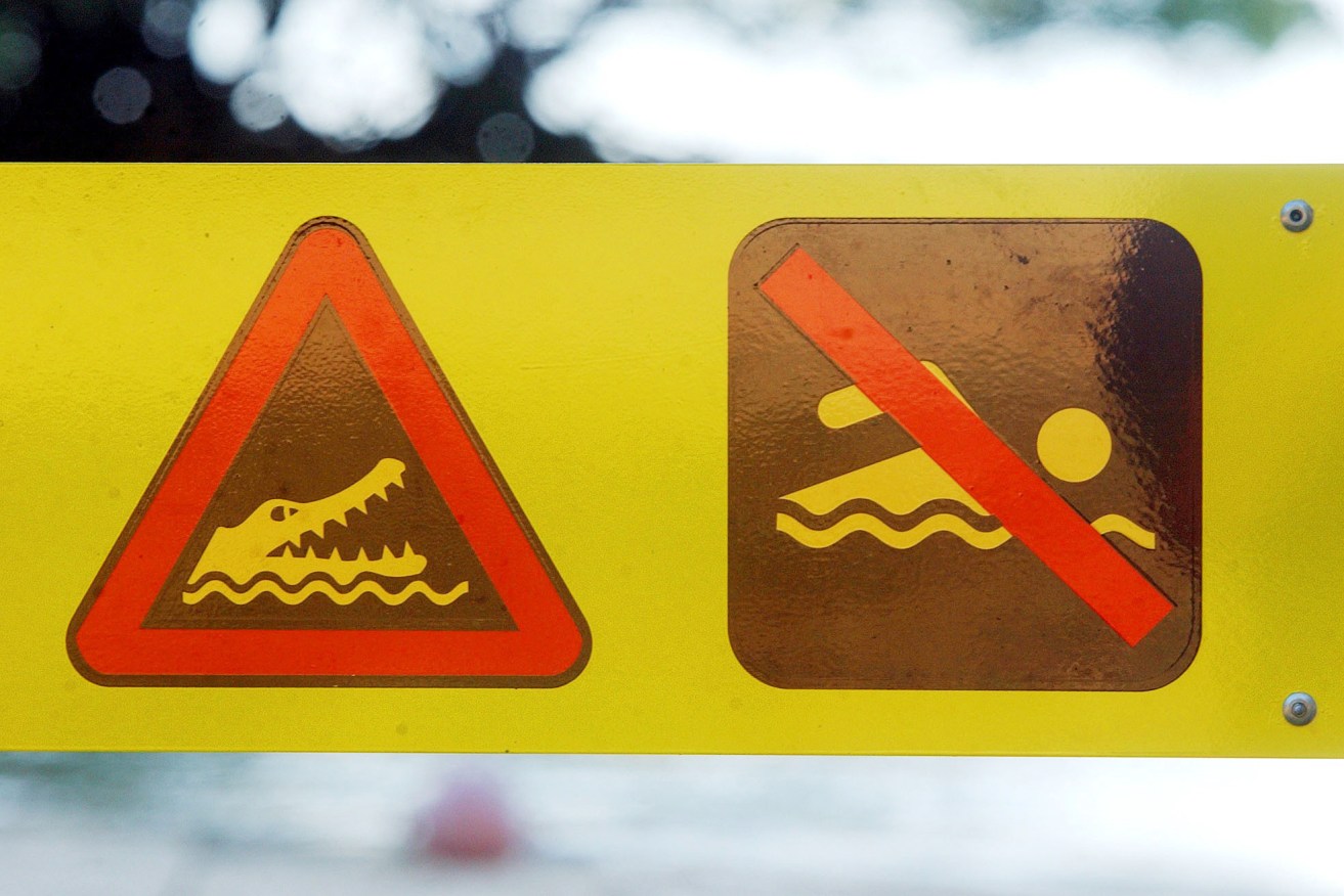 Warning signs will be installed near Brisbane after a reported sighting of a three-metre crocodile.