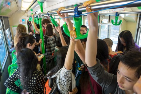 Greens pitch free public transport to NSW voters