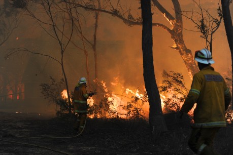 Arson probe into major bushfire as extreme risks near
