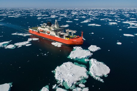 Icebreaker RSV Nuyina to make resupply return