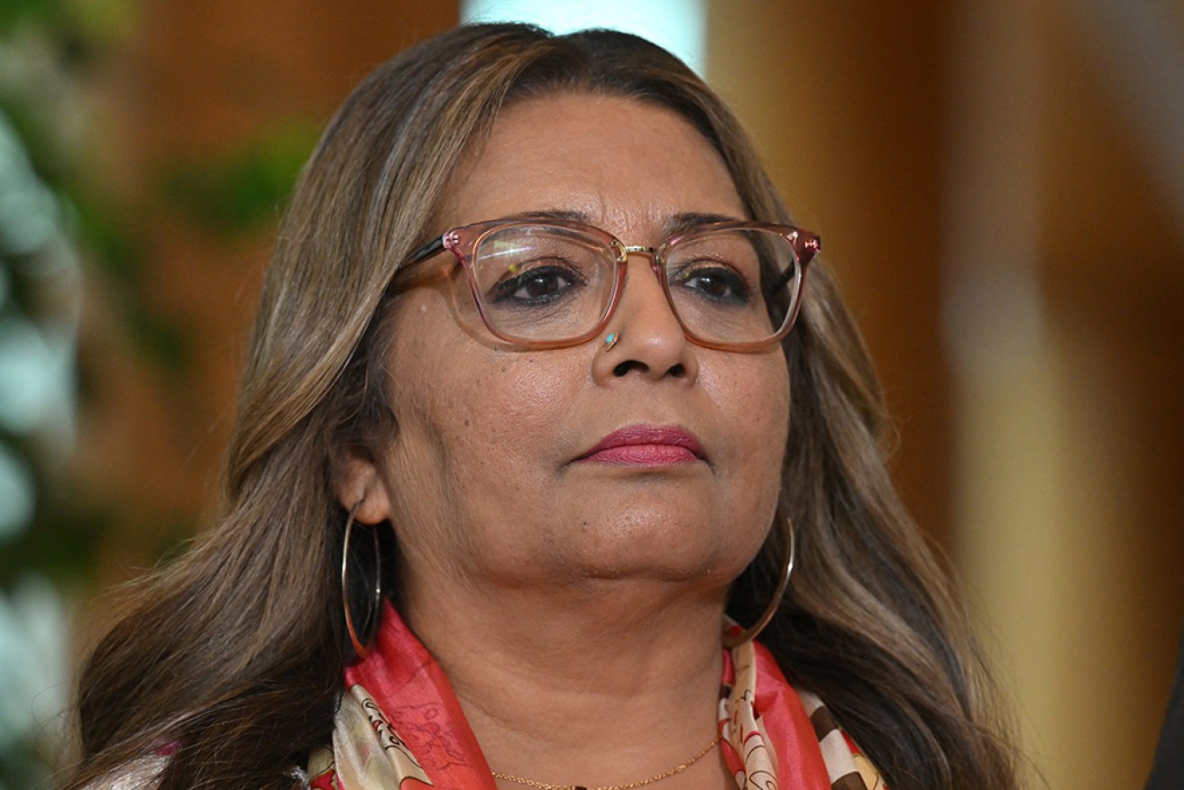 Mehreen Faruqi is suing the One Nation leader, alleging she breached the Racial Discrimination Act.