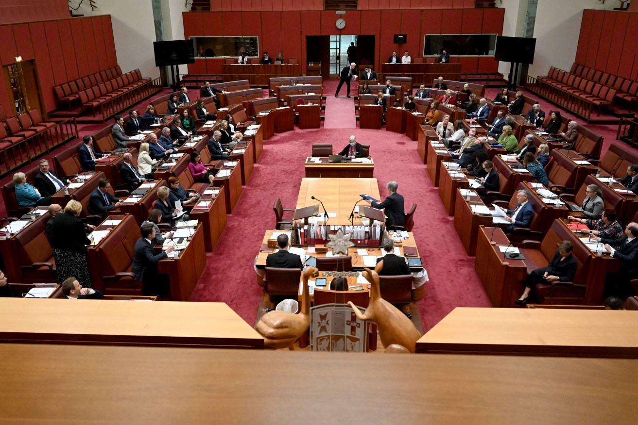 The Senate voted for an inquiry into excess deaths.