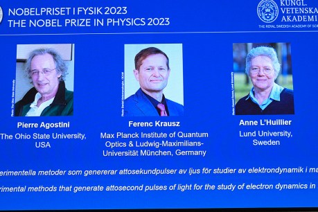 Electrons study awarded Nobel Prize in physics